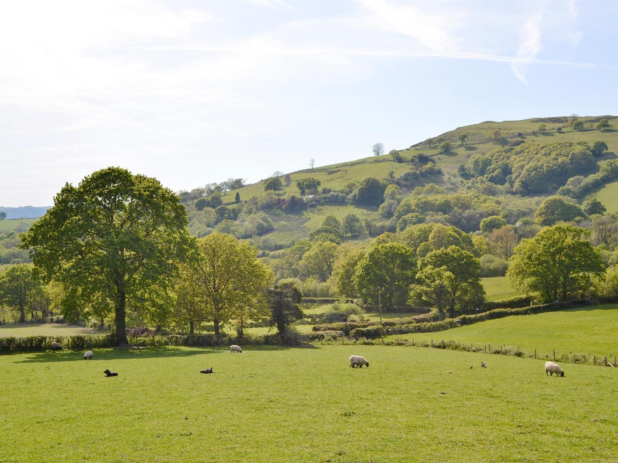 Llanwrda Maes Y Bryn Farmhouse מראה חיצוני תמונה